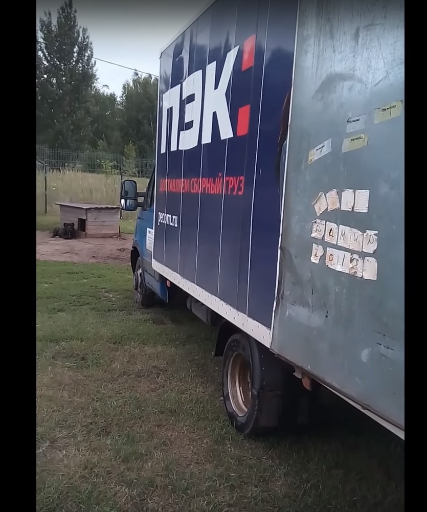 Транспорт ПЭК для сборного груза с питомника