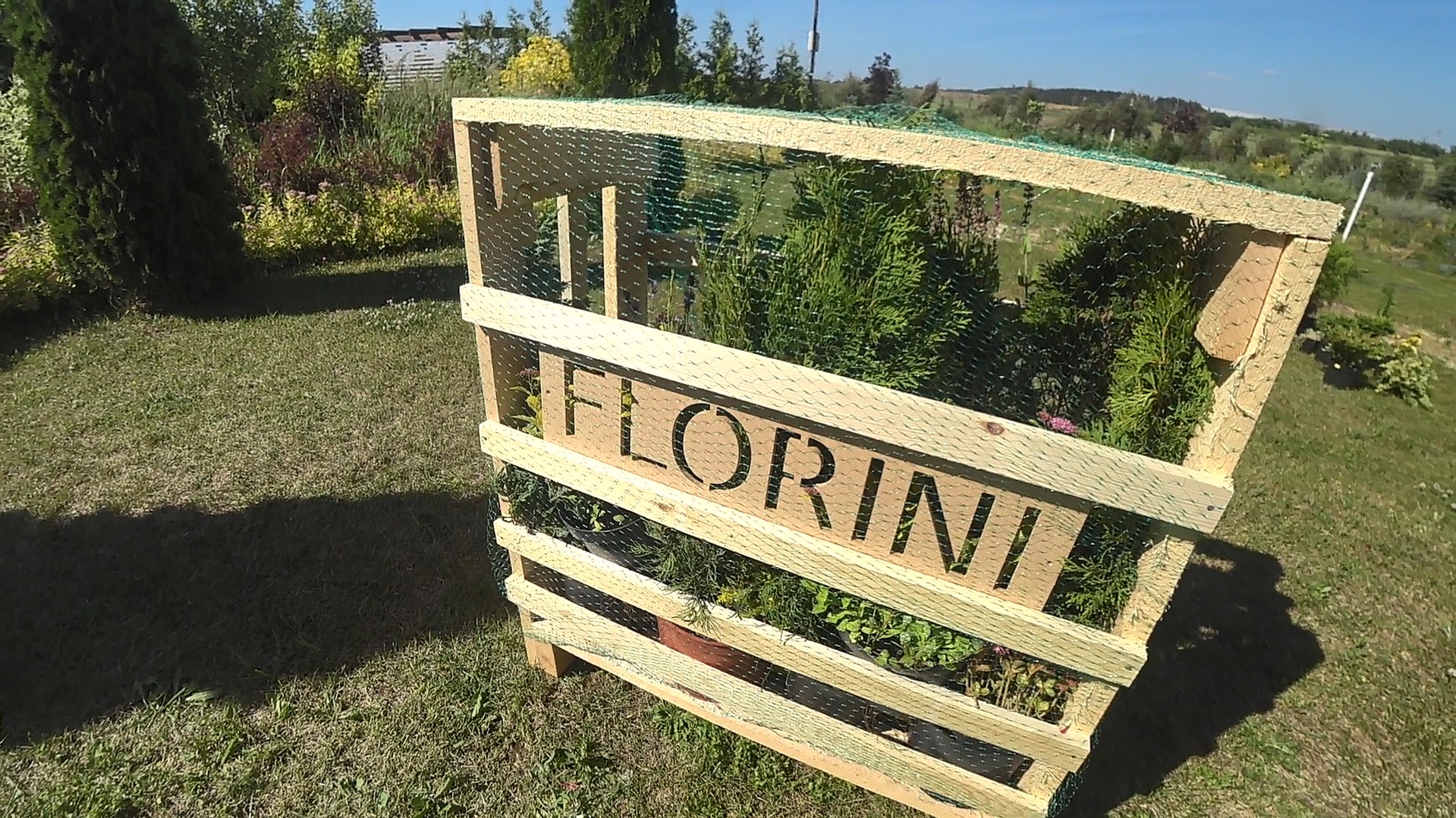 Партия растений в деревянном ящике FLORINI, обвязанном сеткой